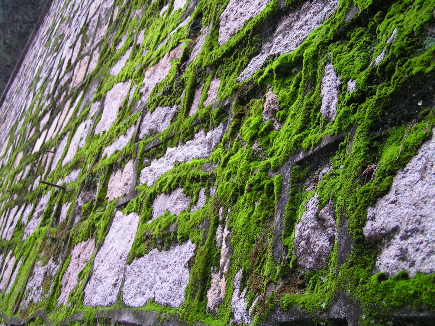 Beijing_20060802_058.jpg